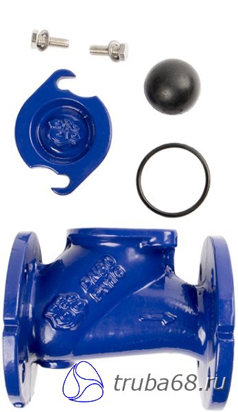 Клапан обратный чугунный фланцевый шаровый подъемный RUSHWORK 405 купить в Тамбове